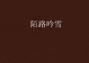 皇牌空战7
